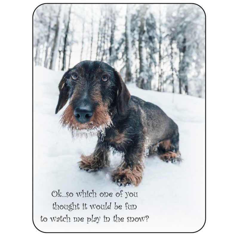 Dachshund Dog Novelty Sign Dog lover fun sign gift idea lifestyle Sausage dog puppy