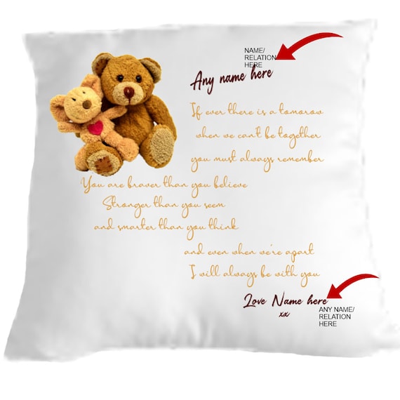 Teddy bear cuddle sale cushion