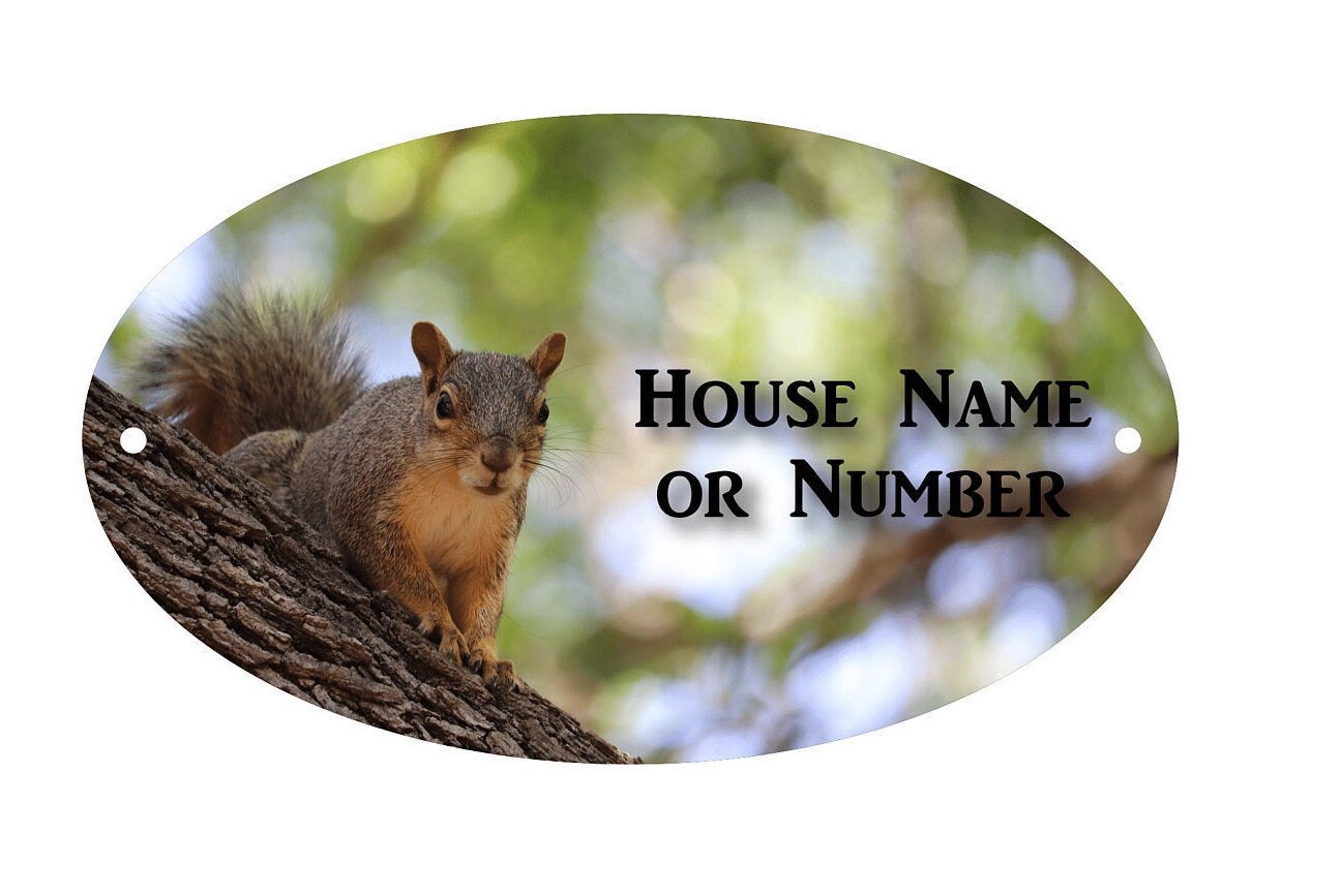 House Sign/plaque Squirrel in Tree Full Colour Metal House Etsy
