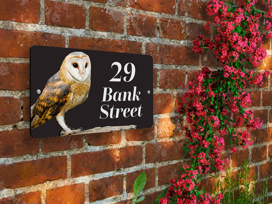 House Sign With Barn Owl Modern Acrylic Plaque Full Colour Etsy