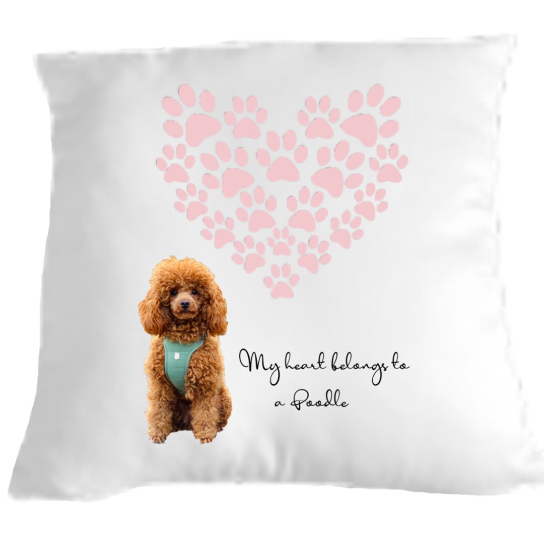 poodle cushion