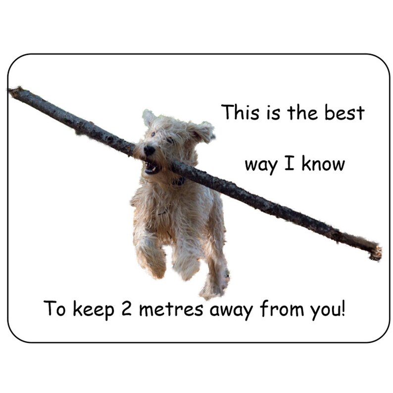 Lifestyle sign Dog and stick Safe distance