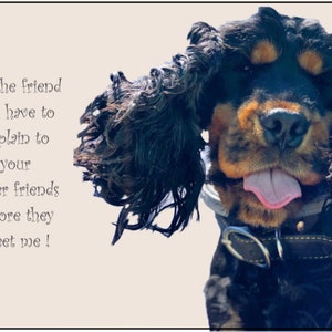 MY DOG'S RULES RETRO STYLE METAL TIN SIGN/PLAQUE COCKER SPANIEL THEME MY DOG'S RULES RETRO STYLE METAL TIN SIGN/PLAQUE COCKER SPANIEL THEME