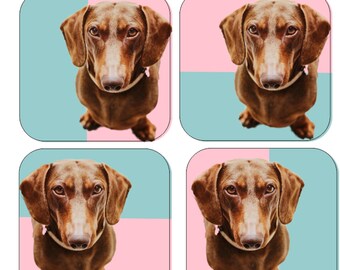 Dachshund Coaster Set Smooth Haired Dachshund Coasters, Chocolate and Tan Dachshund