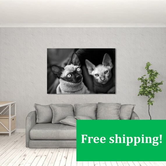 Canadian Hairless White Cat Modern Decor Canvas Wall Art HD Print