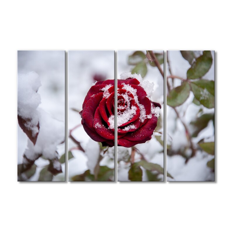 Modern Photography Printing Red Rose Printable Large Canvas Art Printing Floral Print 3 piece Flower Wall Art Hanging Canvas