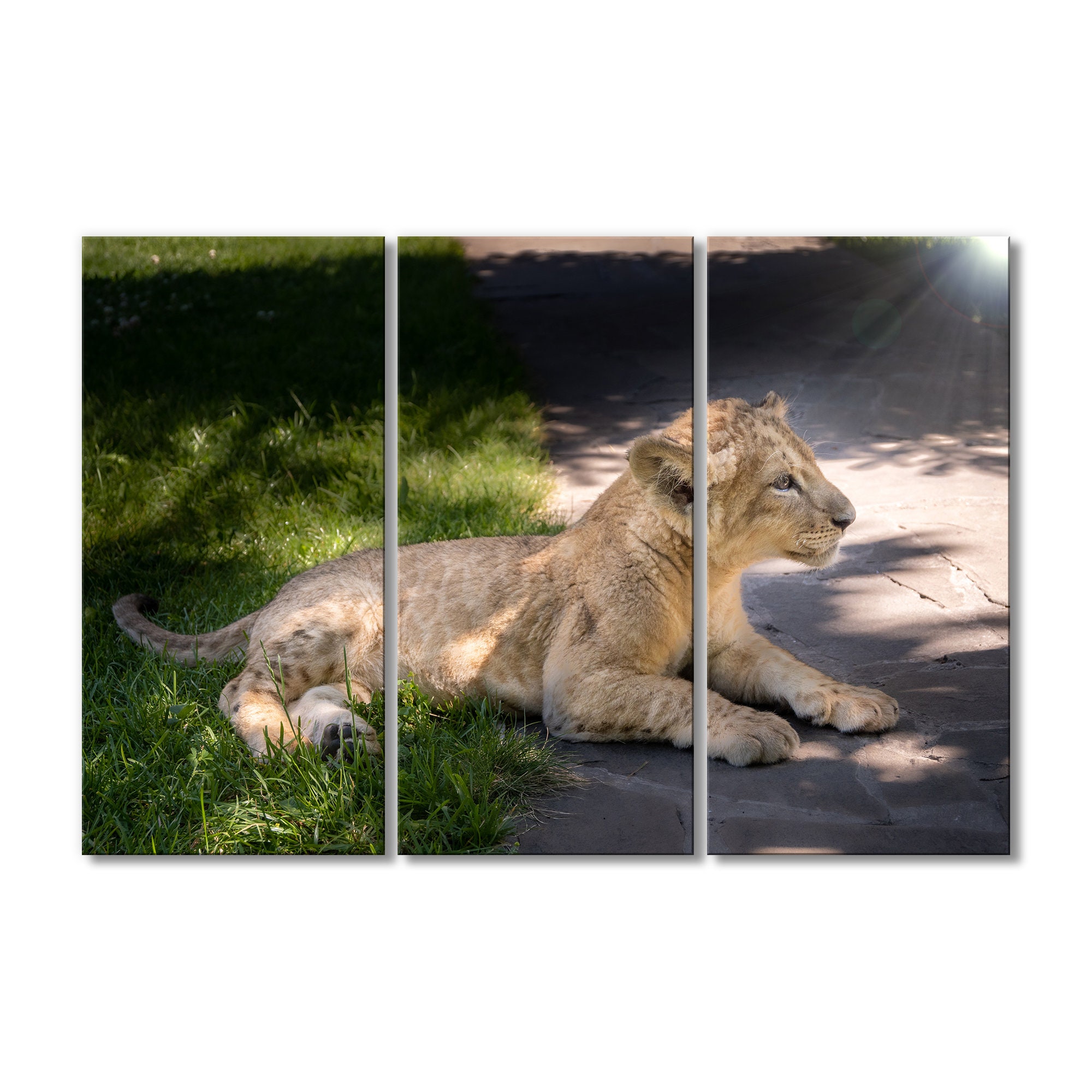 Canvas Print 3 Piece Wall Art Digital Prints Your Pet Photo | Etsy