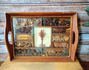 Vintage Wooden Tray with Dried Botanicals Under Glass