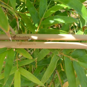 May include: Two natural bamboo drinking straws with the text "bambustro" printed on them. The straws are lying on top of green bamboo leaves.