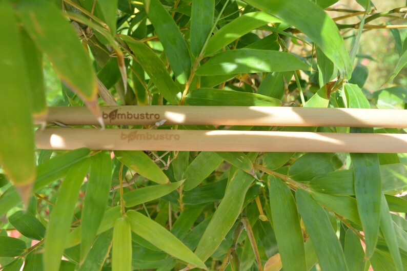 May include: Two natural bamboo drinking straws with the text "bambustro" printed on them. The straws are lying on top of green bamboo leaves.