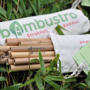 May include: A set of natural bamboo straws in a white canvas bag with the text "bambustro Strohhalme Bambus" printed on the bag. The straws are bundled together and are ready to be used.