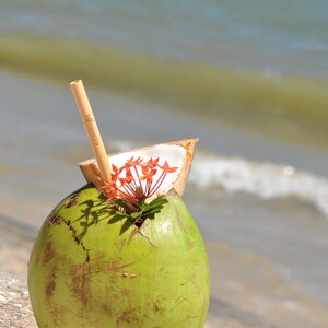 May include: A green coconut with a straw sticking out of the top. The coconut is sitting on a sandy beach with a wave in the background. There are red flowers on top of the coconut.