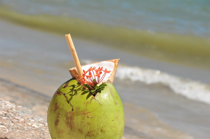 May include: A green coconut with a straw sticking out of the top. The coconut is sitting on a sandy beach with a wave in the background. There are red flowers on top of the coconut.