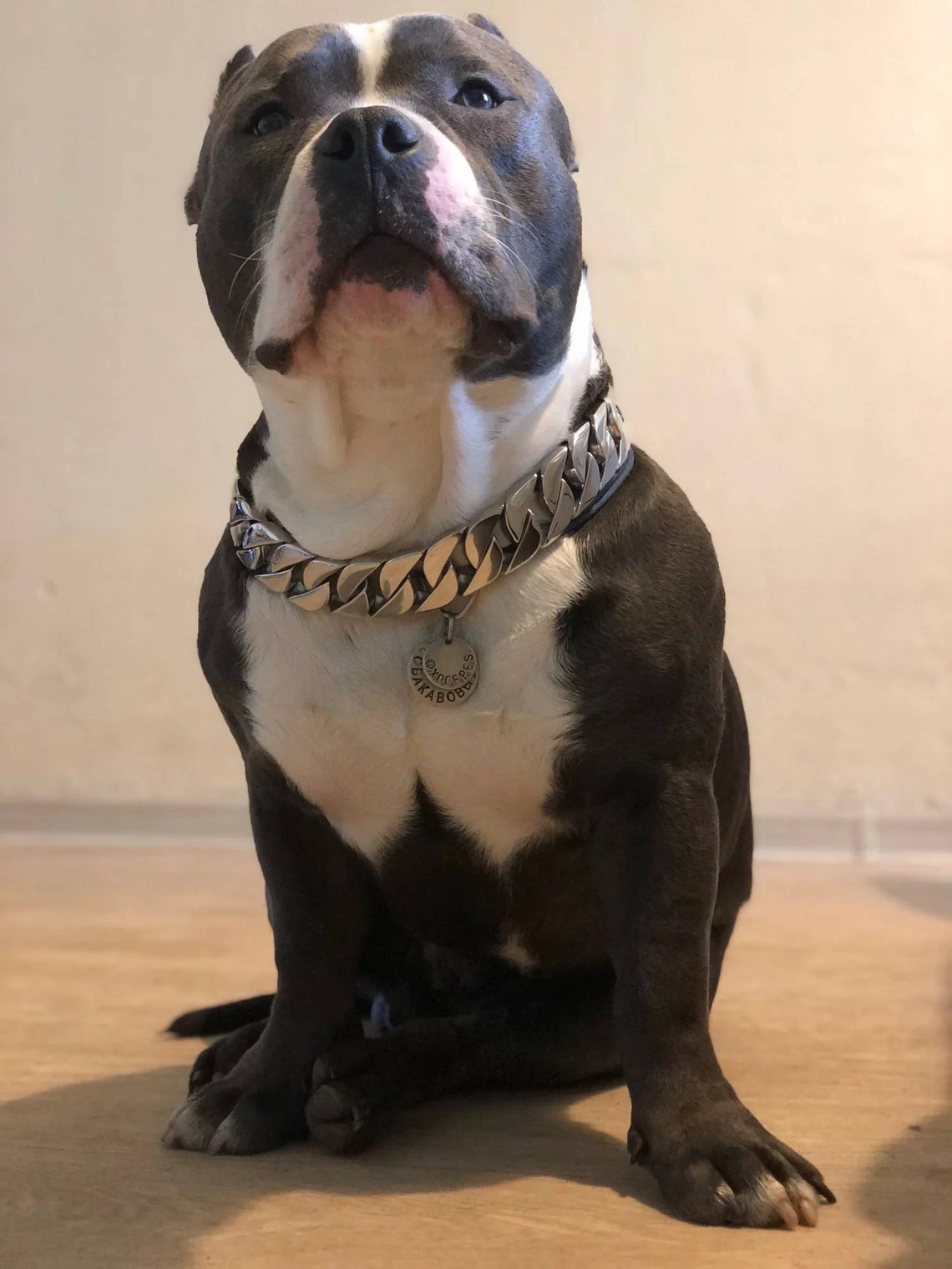 Gold Hund Kette Kragen / starke Metall Hund Kette Kragen / Etsy