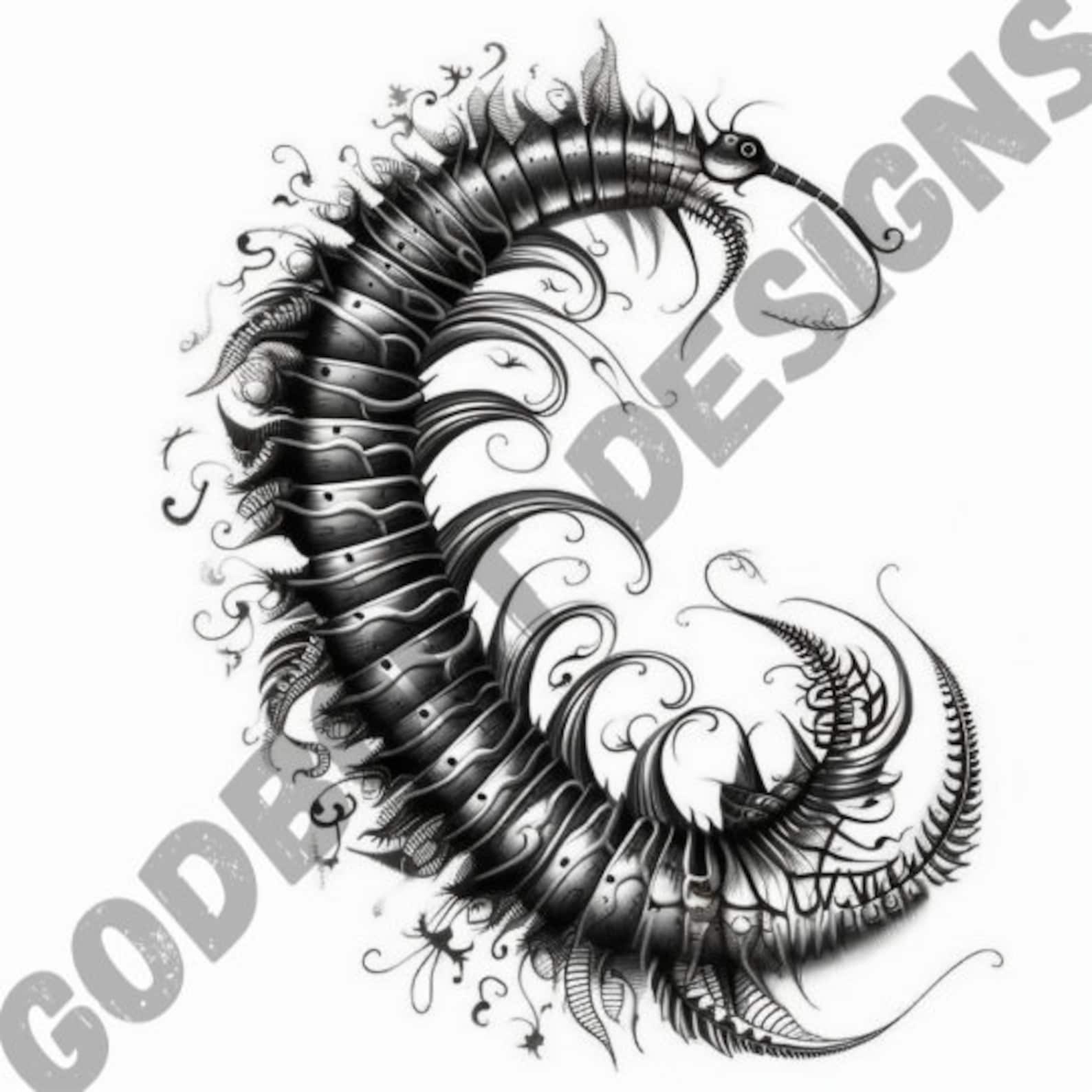 Centipede Tattoo Design Pack | 4 PSD and PNG Files | Perfect for ...