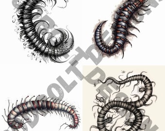 Centipede Tattoo Design Pack | 4 PSD and PNG Files | Perfect for Artists and Nature Enthusiasts | Unique, Mysterious, Procreate Compatible