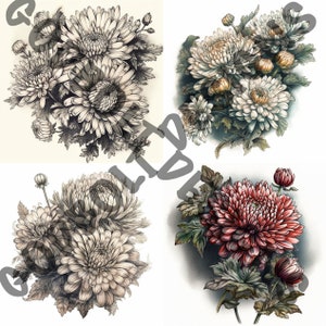 Chrysanthemum Tattoo Design Pack | 4 PSD and PNG Files | Perfect for Artists & Nature Enthusiasts | Elegant, Symbolic, Procreate Compatible