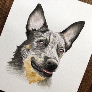 May include: Watercolor painting of a blue heeler dog with black and white markings. The dog has a brown nose and tongue sticking out. The dog is looking to the right.