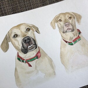 May include: Watercolor painting of two light brown dogs with green and red collars. The dog on the left is looking to the right, while the dog on the right is looking straight ahead.