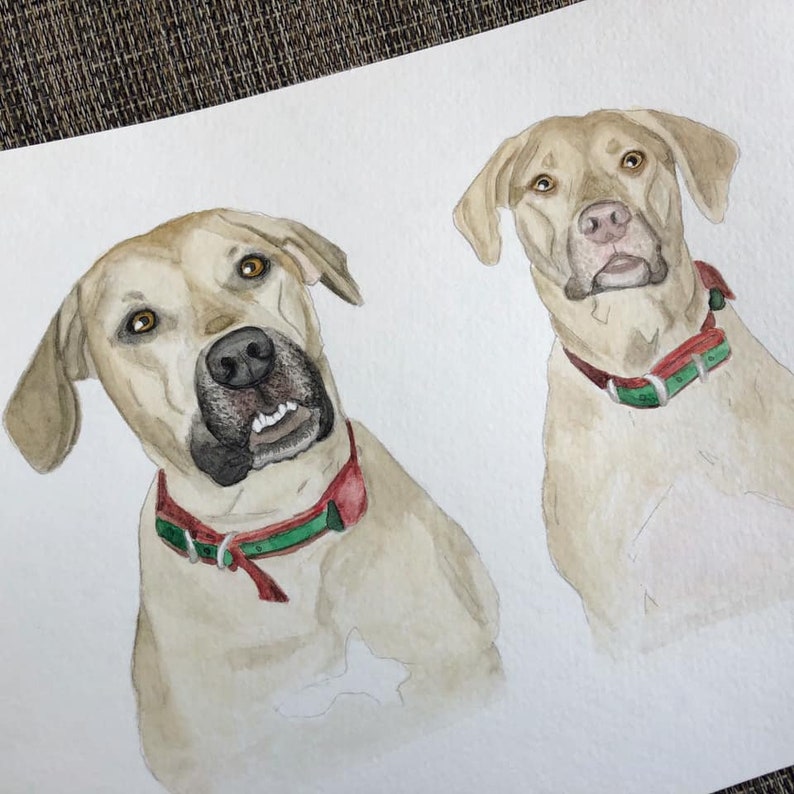 May include: Watercolor painting of two light brown dogs with green and red collars. The dog on the left is looking to the right, while the dog on the right is looking straight ahead.