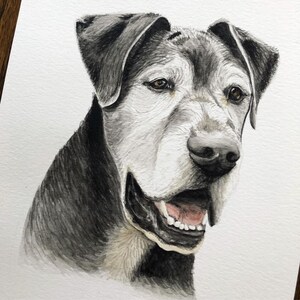 Custom Watercolor Pet Portrait: Dog, Cat, Horse Memorial image 9