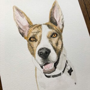 Custom Watercolor Pet Portrait: Dog, Cat, Horse Memorial image 5