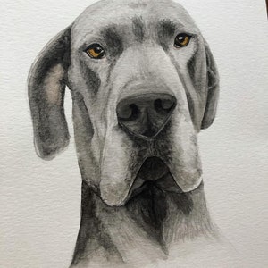 Custom Watercolor Pet Portrait: Dog, Cat, Horse Memorial image 10