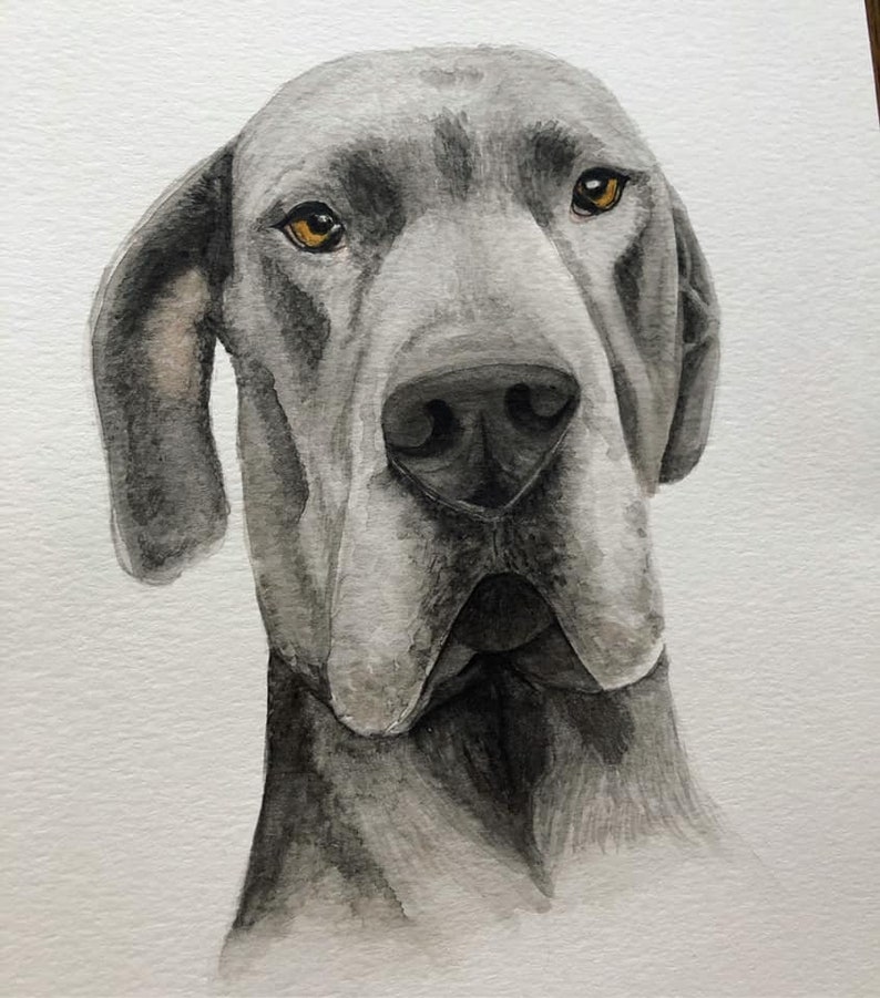 Custom Watercolor Pet Portrait: Dog, Cat, Horse Memorial image 10