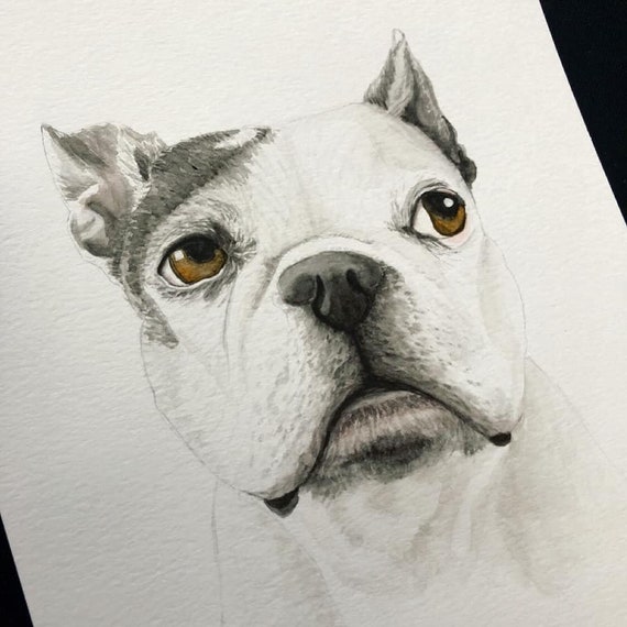 Custom Watercolor Pet Portrait: Dog, Cat, Horse Memorial