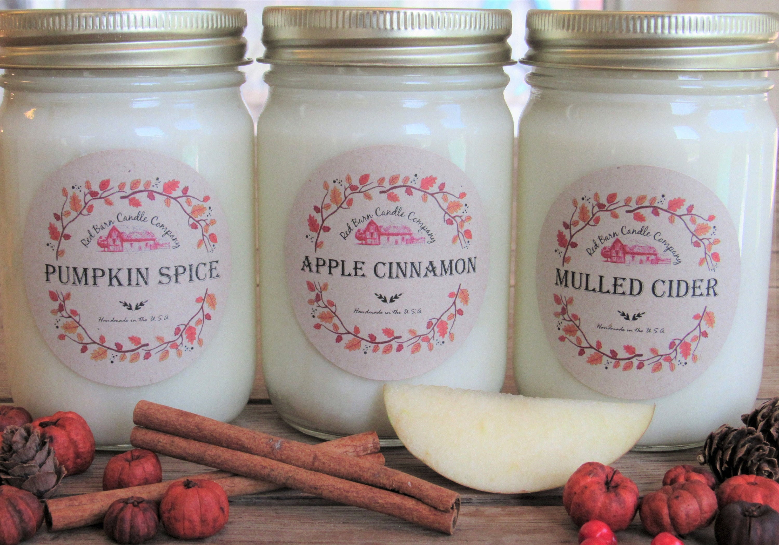 Apple Cinnamon Aromatherapy Candle All-natural Soy Wax & Dried Flowers Essential  Oil Infused Odor Eliminate Relaxation Toxin Free 