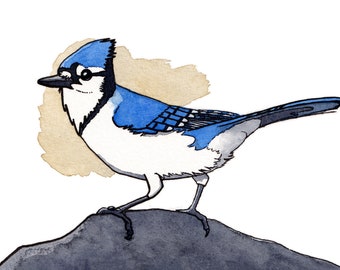 Blue Jay Watercolor Print