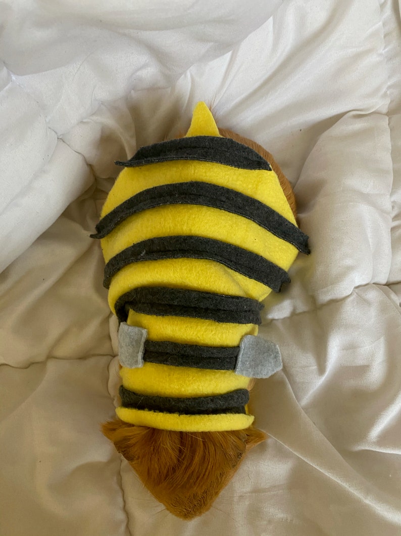 Bumble Bee Guinea Pig Costume Etsy