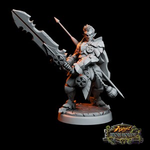 Elinas Gilran Half-Elf Paladin