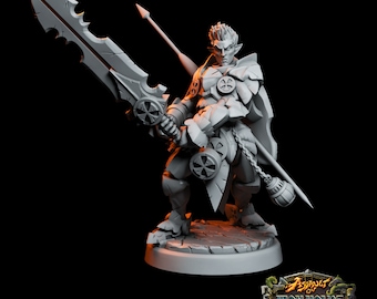 Elinas Gilran Half-Elf Paladin