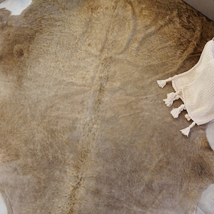 Puede incluir: Una alfombra de piel de vaca marrón y blanca con una manta de punto blanco con borlas.
