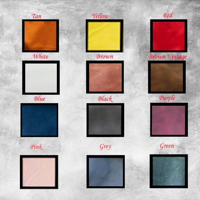Pu&ograve; includere: Una cartella con 12 campioni di pelle di diversi colori. I campioni sono etichettati con i seguenti colori: Tan, Giallo, Rosso, Bianco, Marrone, Marrone Vintage, Blu, Nero, Viola, Rosa, Grigio e Verde.