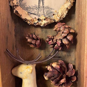Peut inclure: Une boîte à ombre en bois avec une figurine de cerf en céramique blanche, un bois de cerf en métal et trois pommes de pin brunes. La boîte présente également une découpe circulaire avec une illustration vintage d'un cerf.