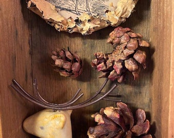 Assemblage Art, Found Object Art, Nature, Deer, Winter Art, Vintage Painted Wooden Box, Pinecone