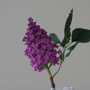 Lilacs. A branch of lilacs from polymer clay and foam eva. Lilac flowers. Realistic lilacs from cold porcelain. Lilacs in a vase.