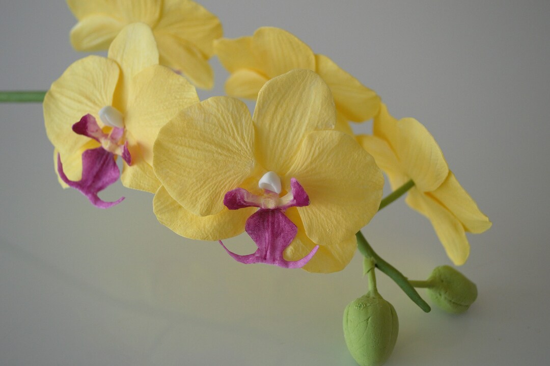 Yellow Orchid Orchid Flower Bouquet Orchid Artificial Etsy