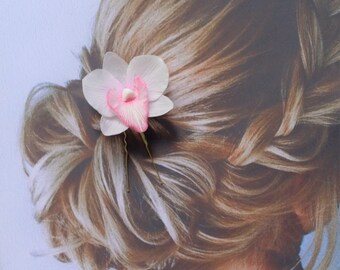 Dendrobium orchid for wedding hairstyle of the bride and bridesmaids