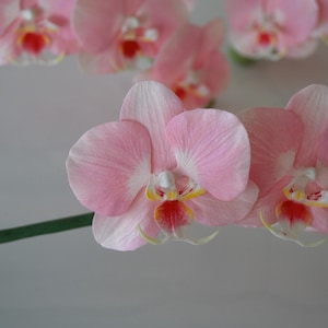 Handmade Artificial Orchid Stem: Realistic Floral Home Decor