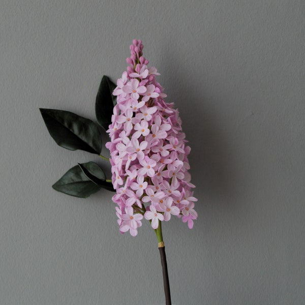 Une branche de lilas . Fleurs lilas. Lilas réalistes en porcelaine froide. Lilas dans un vase.