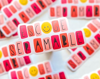 Be kind Vinyl Sticker | se amable | Pink Vinyl Sticker | Bilingual Teacher | Spanish Teacher Gifts | Educational Stickers | Bilingual