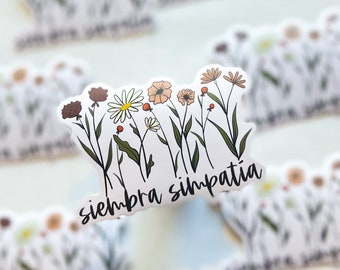 Be kind Vinyl Sticker | se amable | Flower Vinyl Sticker | Bilingual Teacher | Spanish Teacher Gifts | Educational Stickers | Bilingual