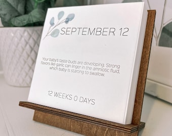 Custom Due Date Baby Countdown Calendar | Pregnancy Gift for Expecting Moms | First Trimester | Second Trimester | Congratulations Pregnancy