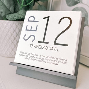 Baby Countdown Calendar – Custom Congratulations Pregnancy Gift for Expecting Moms with recent Pregnancy Announcements