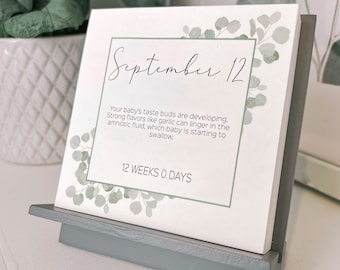Customized Maternity Calendar | Countdown to Baby | A Congratulations Gift for Moms and Expecting Parents