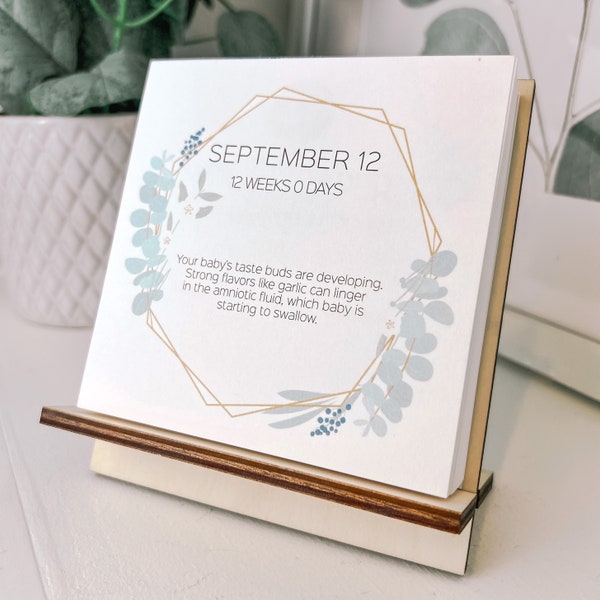 Custom Baby Countdown Calendar – Congratulations Pregnancy Gift for Expecting Moms with recent Pregnancy Announcements