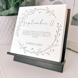 May include: A white card with black text and a floral design. The card reads "September 12" and "Your baby's taste buds are developing. Strong flavors like garlic can linger in the amniotic fluid, which baby is starting to swallow." The card also reads "12 WEEKS 0 DAYS".